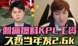 狼队圈内爆料视频大全集,揭秘战队幕后风云