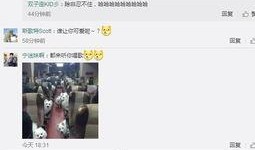 李静蕾最新微博爆料视频,最新热点事件深度解析